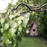 Je tuin inrichten? Zo kan je dat doen.